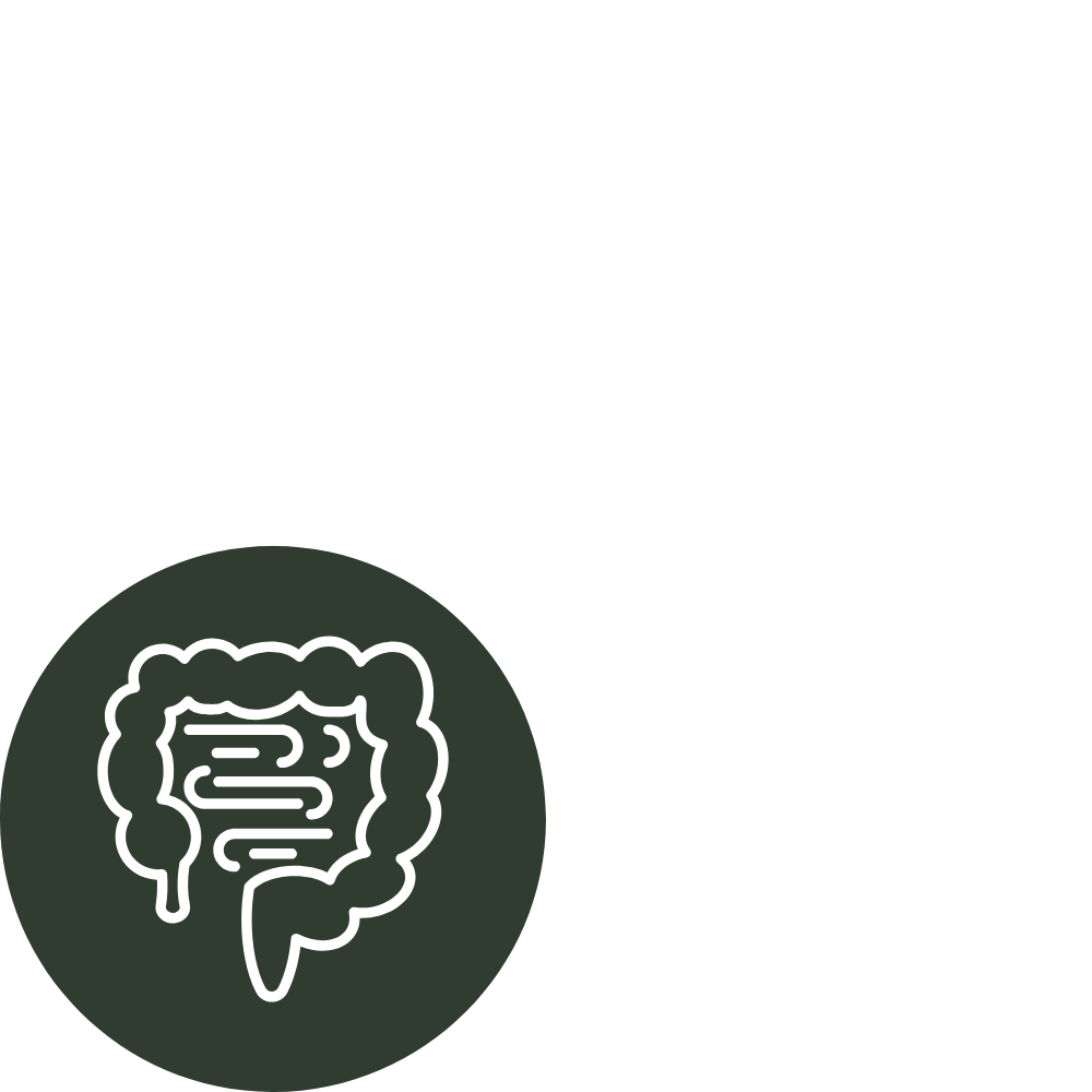 Illustration d’un patient en séance d’ostéopathie avec des symboles du système digestif et du drainage lymphatique.